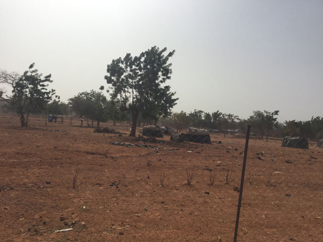 01 20 mais africa 04