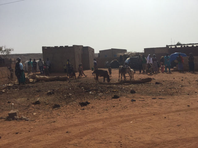 01 20 mais africa 07